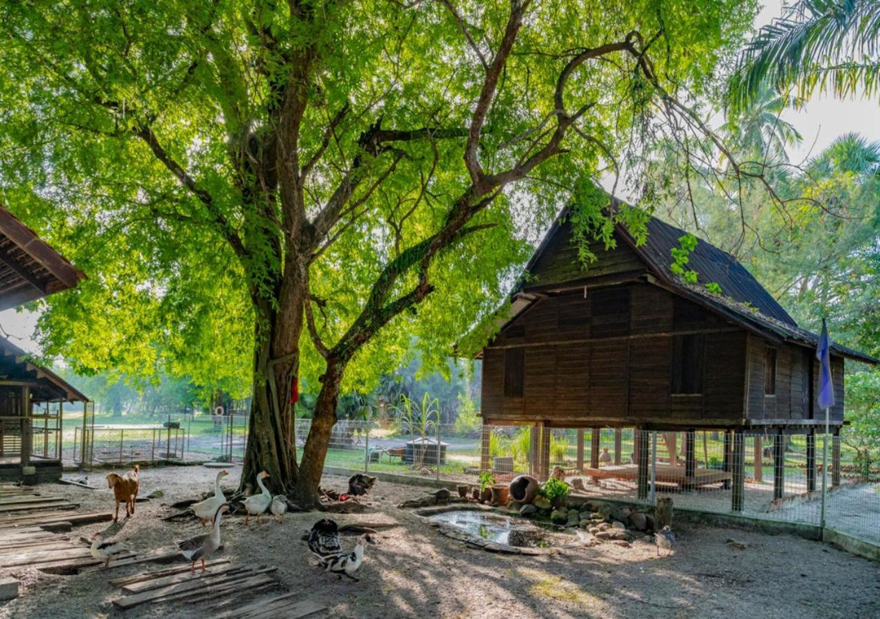 Pelangi Beach Resort And Spa لانكاوي المظهر الخارجي الصورة A traditional house in Perak, Malaysia