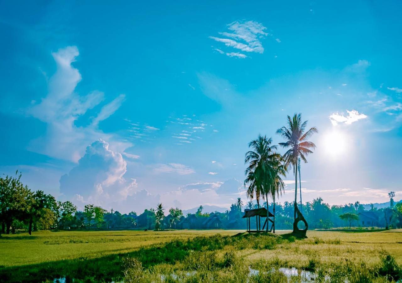 Pelangi Beach Resort And Spa لانكاوي المظهر الخارجي الصورة A view of the paddy fields in the village
